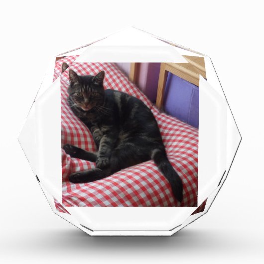 Cute Dave Octagonal Photo Block Fotoblokken (Voorkant)