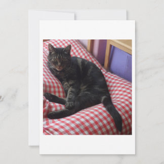 Cute Dave op een platte bedankt kaart