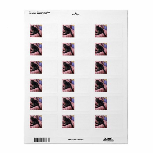 Cute Dave Return Labels (Full Sheet)