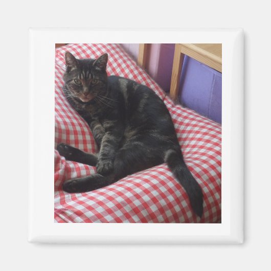 Cute Dave Square Magnet (Voorkant)