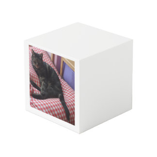 Cute Dave Square Photo Cube Kubus
