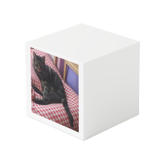 Cute Dave Square Photo Cube Kubus (Voorkant hoekig)