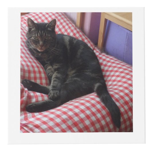 Cute Dave Square Photo Cube Kubus (Voorkant)