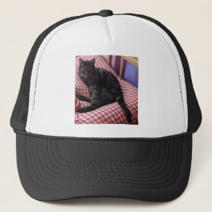 Cute Dave Trucker Pet