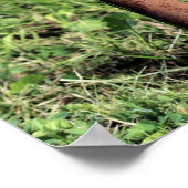 Cute Deer Head Lawn Ornament Poster (Hoek)