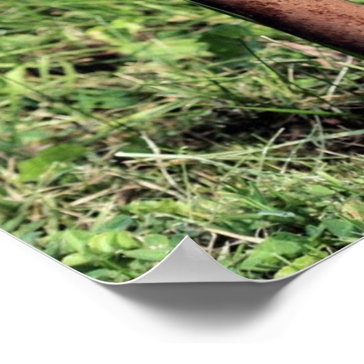 Cute Deer Head Lawn Ornament Poster (Hoek)