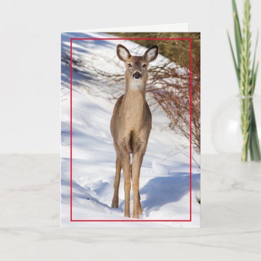 Cute Deer in de sneeuw Feestdagen Kaart (Voorkant)