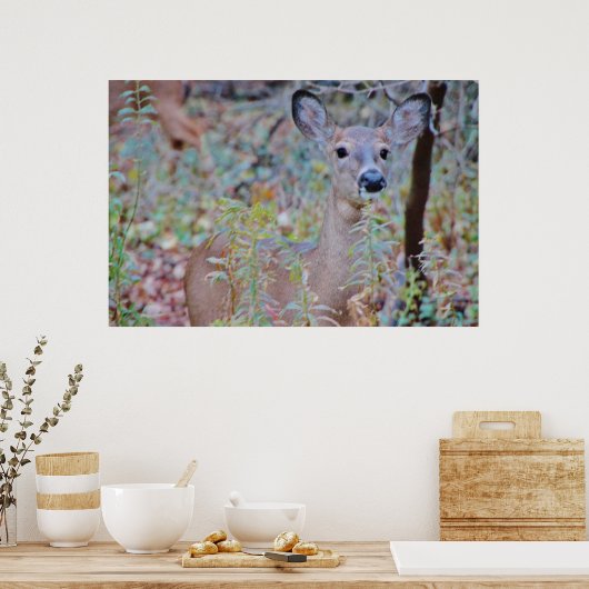 Cute Deer in een bos Poster (Keuken)