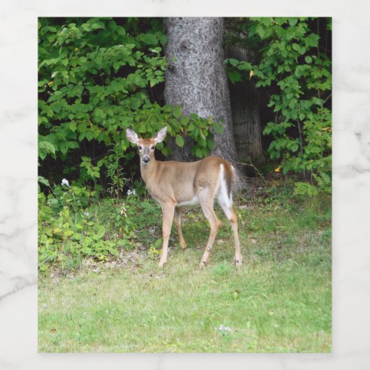 Cute Deer Wijn Etiket (Enkel label)