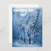 Cute Delft Blue Giraffes New Address Moving Briefkaart (Voorkant / Achterkant)