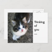 CUTE "Denken aan jou"   Briefkaart (Voorkant / Achterkant)