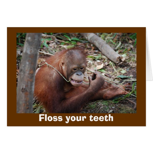 Cute Dental Health Advice for Teeth (Voorkant Horizontaal)