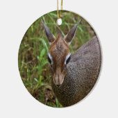 Cute Dik-Dik Keramisch Ornament (Links)