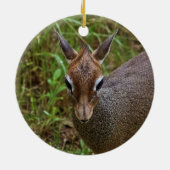Cute Dik-Dik Keramisch Ornament (Achterkant)