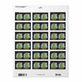 Cute Dino Friend Anime Boy - Green Dinosaur Etiket (Full Sheet)