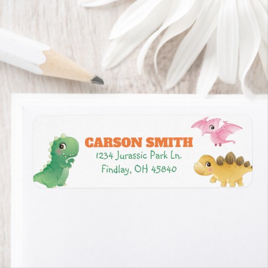 Cute Dinosaur Birthday Party Address Etiket (Insitu)