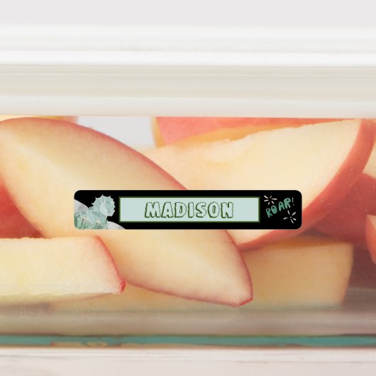 Cute Dinosaur Waterproof Name Set 2 Black Labels (Aangebracht)