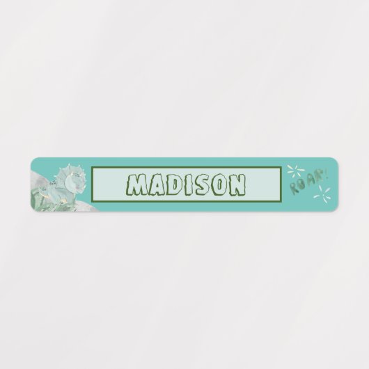 Cute Dinosaur Waterproof Name Set 2 Licht Blauwgro Labels (Design 1)