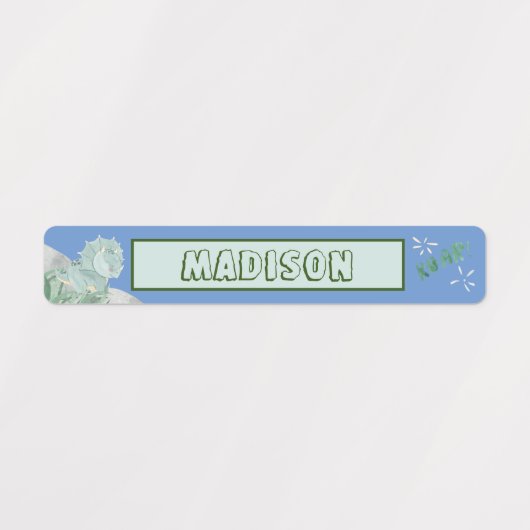 Cute Dinosaur Waterproof Name Set 2 Light Blue Labels (Design 1)