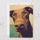 Cute Doberman Childs Birthday Party Kaart (Achterkant)