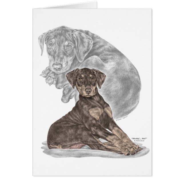 Cute Doberman Pinscher Puppy (Voorkant)