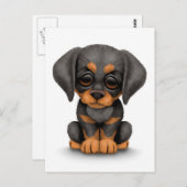 Cute Doberman Pinscher Puppy Dog over White Briefkaart (Voorkant / Achterkant)