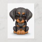 Cute Doberman Pinscher Puppy Dog over White Briefkaart (Voorkant)