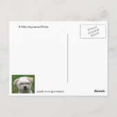 Cute Dog 3 Afbeelding Briefkaart (Achterkant)