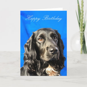 Cute Dog Birthday Card Kaart