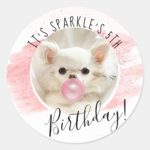 Cute Dog Birthday Party   Sparkle the Tiny Chi Ronde Sticker