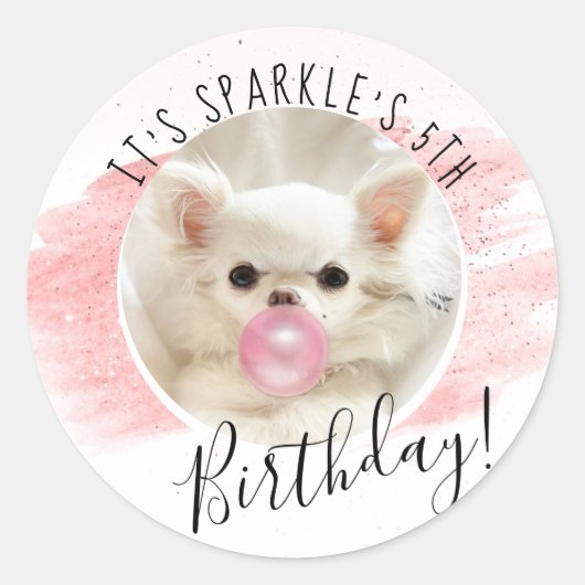 Cute Dog Birthday Party | Sparkle the Tiny Chi Ronde Sticker (Voorkant)