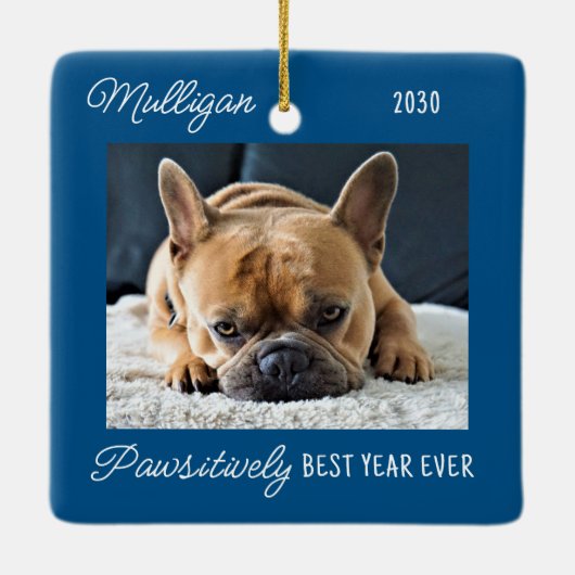 Cute Dog Blue Quarantine-kerstfoto Keramisch Ornament (Achterkant)