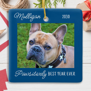 Cute Dog Blue Quarantine-kerstfoto Keramisch Ornament