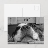Cute Dog Briefkaart (Voorkant / Achterkant)