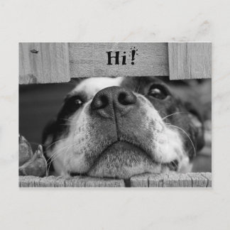Cute Dog Briefkaart