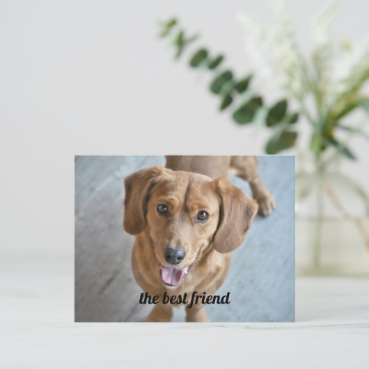Cute Dog Briefkaart (Staand voorkant)