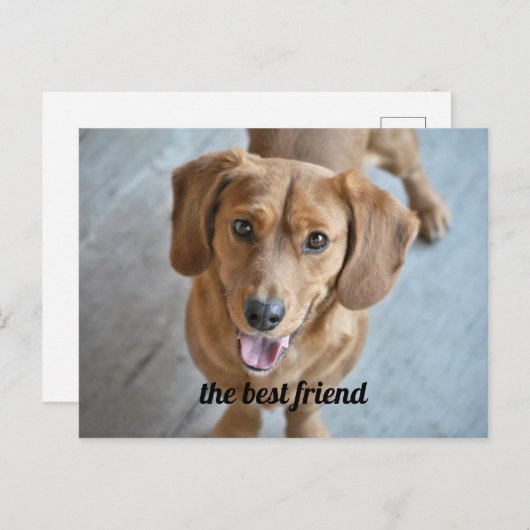 Cute Dog Briefkaart (Voorkant / Achterkant)