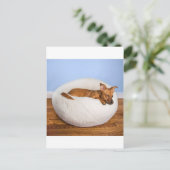 Cute dog briefkaart (Staand voorkant)