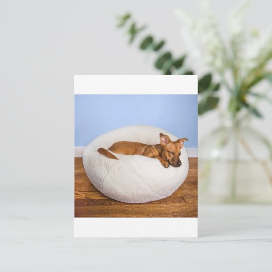 Cute dog briefkaart (Staand voorkant)