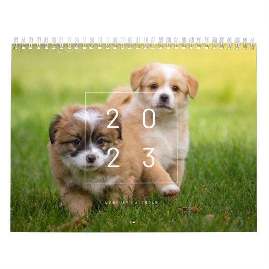 Cute Dog Calendar 2023 Kalender (Hoes)