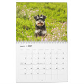 Cute Dog Calendar 2023 Kalender (Mar 2027)