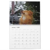 Cute Dog Calendar 2023 Kalender (Jan 2027)