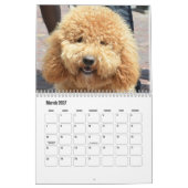 Cute Dog Calendar Kalender (Mar 2027)