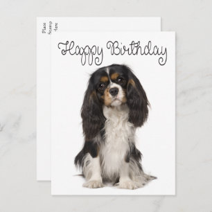 Cute Dog Cavalier King Charles Spaniel Birthday Briefkaart