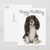 Cute Dog Cavalier King Charles Spaniel Birthday Briefkaart (Voorkant / Achterkant)