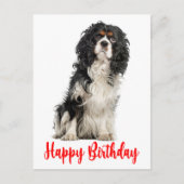 Cute Dog Cavalier King Charles Spaniel Birthday Po Briefkaart (Voorkant)