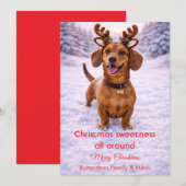 Cute Dog Christmas Sweet Quote | Holiday Card Feestdagenkaart (Voorkant / Achterkant)