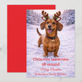 Cute Dog Christmas Sweet Quote | Holiday Card Feestdagenkaart