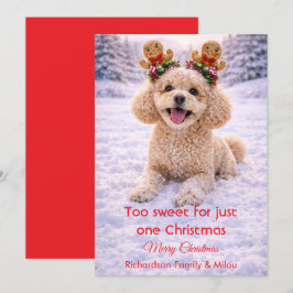Cute Dog Christmas Sweet Quote | Holiday Card Feestdagenkaart
