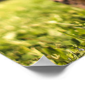 Cute Dog Close-up poster (Hoek)